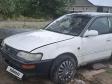 Toyota Corolla, 1995