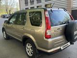 Honda CR-V 2005 годаүшін4 600 000 тг. в Усть-Каменогорск – фото 4