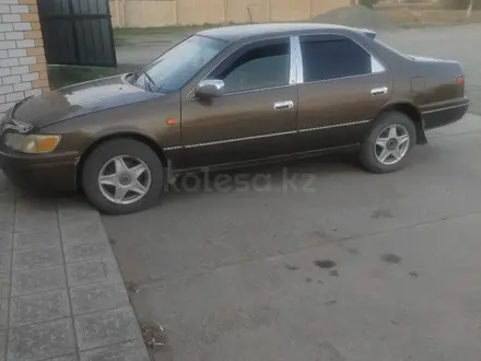 Toyota Camry 1997 года за 3 500 000 тг. в Семей