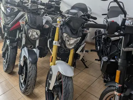 BAYMOTO в Шымкент – фото 4