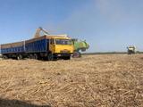 КамАЗ 1990 годаүшін9 000 000 тг. в Жалагаш