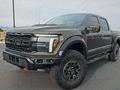 Ford F-Series 2024 годаүшін75 820 000 тг. в Алматы