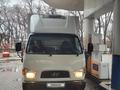 Hyundai  HD65 2010 года за 8 600 000 тг. в Алматы – фото 7