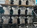 Двигатель Тойота Камри, Хайландер, Лексус РХ300, ЕС300 за 120 000 тг. в Алматы – фото 4