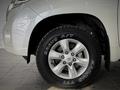 Toyota Land Cruiser Prado Comfort 2014 года за 15 900 000 тг. в Астана – фото 17