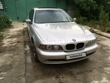 BMW 530 2003 года за 4 400 000 тг. в Тараз – фото 12