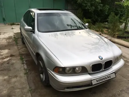 BMW 530 2003 года за 4 400 000 тг. в Тараз – фото 11