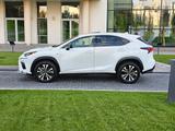 Lexus NX 300 2019 года за 19 000 000 тг. в Алматы – фото 4