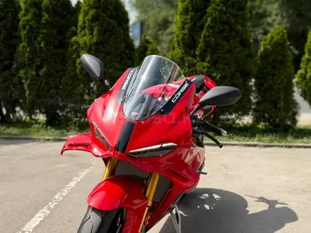 Ducati  Panigale V4S Corse 2026 года за 28 995 000 тг. в Алматы – фото 11