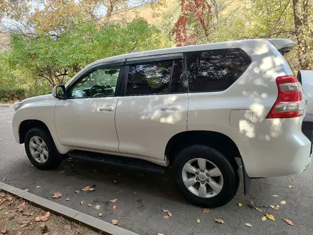 Toyota Land Cruiser Prado 2013 года за 12 500 000 тг. в Алматы – фото 14