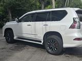 Lexus GX 460 2013 годаүшін19 500 000 тг. в Шымкент – фото 3