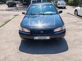 Toyota Camry 1998 года за 3 500 000 тг. в Алматы