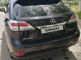 Lexus RX 270 2014 годаүшін10 500 000 тг. в Павлодар – фото 4