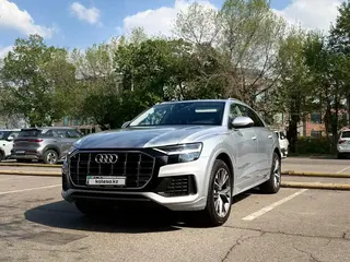 Audi Q8, 2019