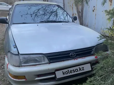 Toyota Corolla 1997 года за 600 000 тг. в Алматы – фото 9