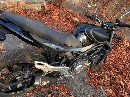 Suzuki  GLADIUS 650 2013 года за 2 600 000 тг. в Алматы – фото 4