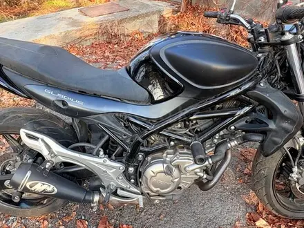 Suzuki  GLADIUS 650 2013 года за 2 600 000 тг. в Алматы – фото 5