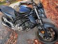 Suzuki  GLADIUS 650 2013 года за 2 600 000 тг. в Алматы – фото 6