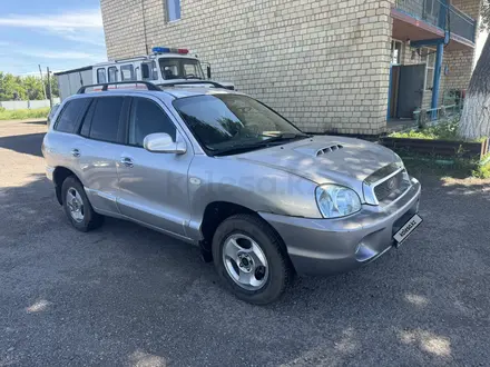 Hyundai Santa Fe 2002 года за 2 999 100 тг. в Караганда – фото 12