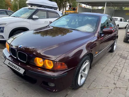 BMW 525 1997 года за 2 800 000 тг. в Тараз – фото 14