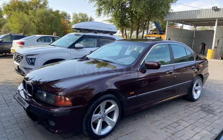 BMW 525 1997 годаүшін3 300 000 тг. в Тараз