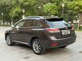 Lexus RX 350 2012 годаүшін12 900 000 тг. в Шымкент – фото 7