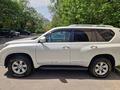 Toyota Land Cruiser Prado 2013 годаүшін16 000 000 тг. в Алматы – фото 5