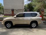 Toyota Land Cruiser Prado 2013 годаүшін14 300 000 тг. в Уральск – фото 2