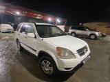 Honda CR-V 2002 года за 5 700 000 тг. в Шымкент – фото 3