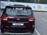 Kia Carnival 2015 годаүшін9 500 000 тг. в Алматы – фото 3