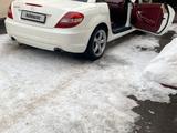 Mercedes-Benz SLK 200 2005 года за 7 500 000 тг. в Алматы – фото 2