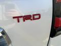Toyota Land Cruiser Prado 2020 годаүшін29 000 000 тг. в Алматы – фото 22
