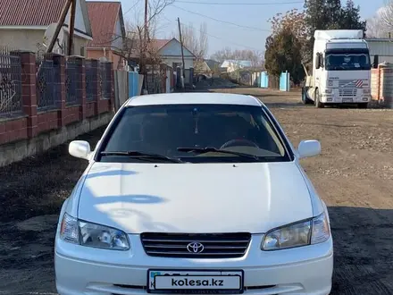 Toyota Camry 2001 года за 3 200 000 тг. в Алматы