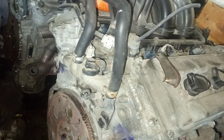 Двигатель на Toyota Land cruiser Prado 1GR fe за 1 950 000 тг. в Алматы