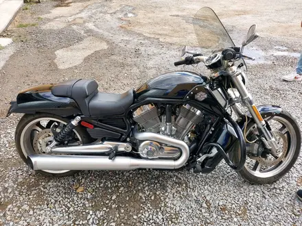 Harley-Davidson  V-Rod Muscle 2014 года за 9 500 000 тг. в Семей – фото 4