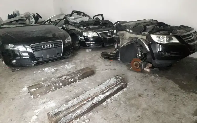 Морда за 90 000 тг. в Астана