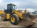 XCMG  LW500 2014 года за 6 000 000 тг. в Шымкент