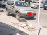 Chevrolet Niva 2012 года за 2 500 000 тг. в Алматы