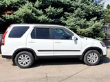 Honda CR-V 2005 года за 5 500 000 тг. в Алматы – фото 5