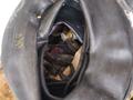Покришка, диска, камер газель за 13 000 тг. в Атырау – фото 5
