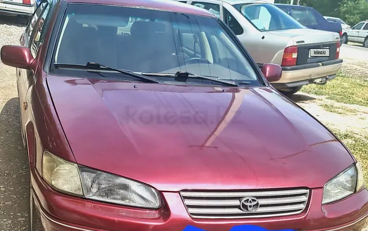 Toyota Camry 1998 годаүшін3 000 000 тг. в Шымкент