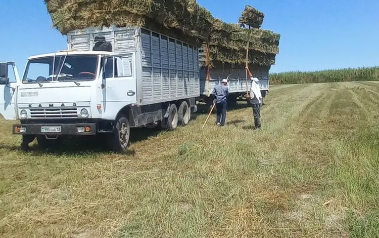 КамАЗ 1992 года за 3 000 000 тг. в Шардара