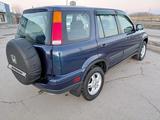 Honda CR-V 2000 года за 4 750 000 тг. в Алматы – фото 5