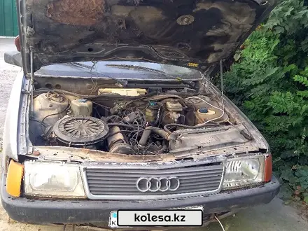 Audi 100 1986 года за 350 000 тг. в Шымкент