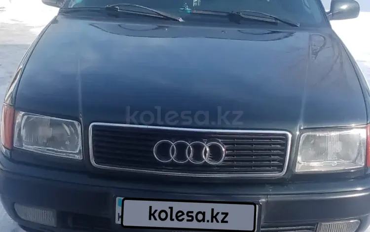 Audi 100 1993 годаүшін2 000 000 тг. в Карабулак (Ескельдинский р-н)