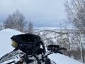 BRP  Skidoo Summit 175 2017 года за 5 000 000 тг. в Усть-Каменогорск – фото 2