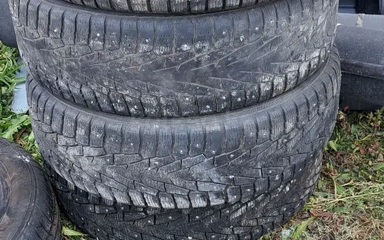 Шины 225/75 R16 Nokianүшін55 000 тг. в Усть-Каменогорск