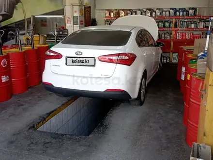 Kia Cerato 2013 года за 5 450 722 тг. в Шымкент – фото 7