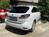 Lexus RX 350 2012 годаүшін13 300 000 тг. в Кокшетау – фото 5