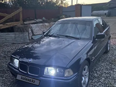 BMW 318 1994 года за 1 600 000 тг. в Щучинск – фото 14